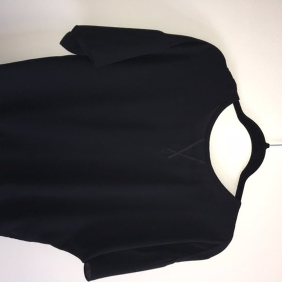 Danier Sheer Blouse - Picture 9 of 10